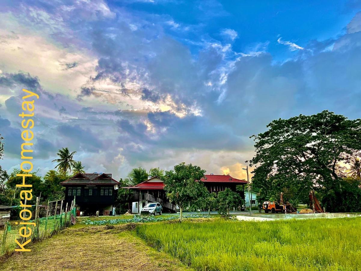 Kejora Homestay Kangar Exterior foto